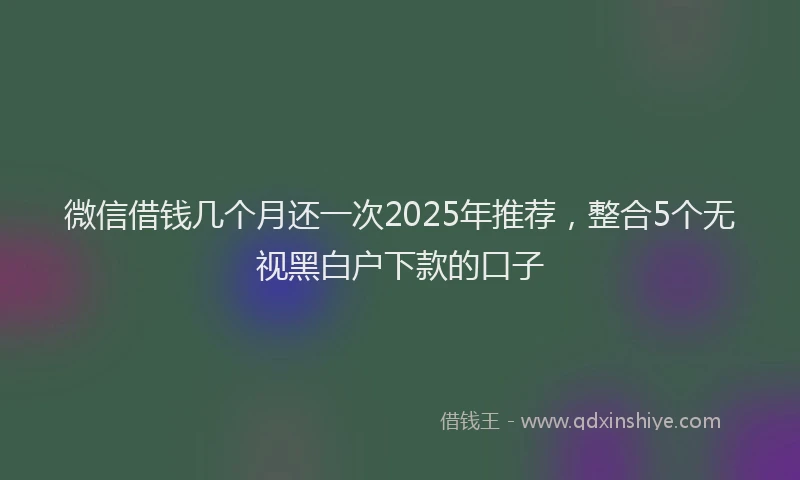 微信借钱几个月还一次2025年推荐，整合5个无视黑白户下款的口子