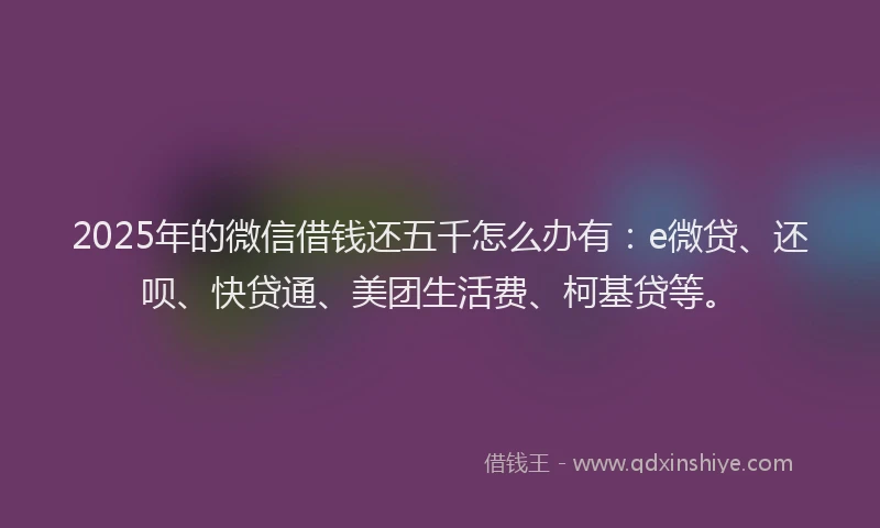 2025年的微信借钱还五千怎么办有：e微贷、还呗、快贷通、美团生活费、柯基贷等。