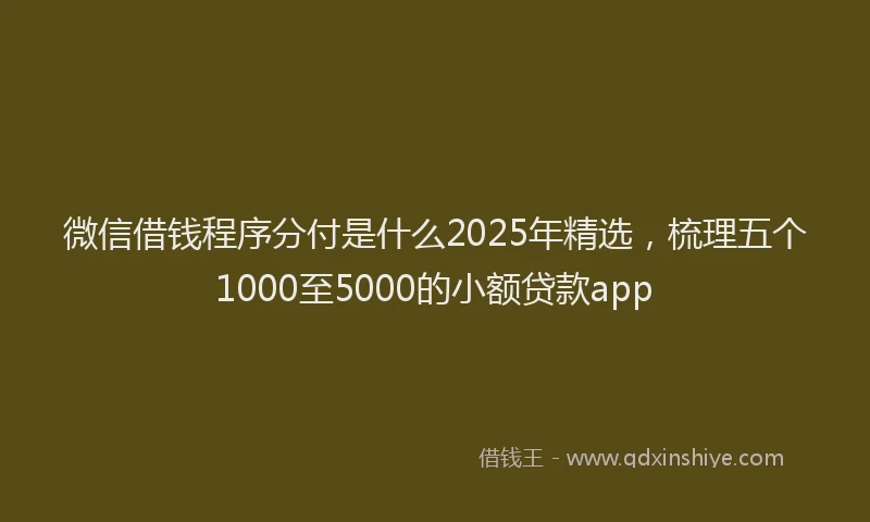 微信借钱程序分付是什么2025年精选，梳理五个1000至5000的小额贷款app