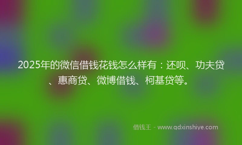2025年的微信借钱花钱怎么样有：还呗、功夫贷、惠商贷、微博借钱、柯基贷等。