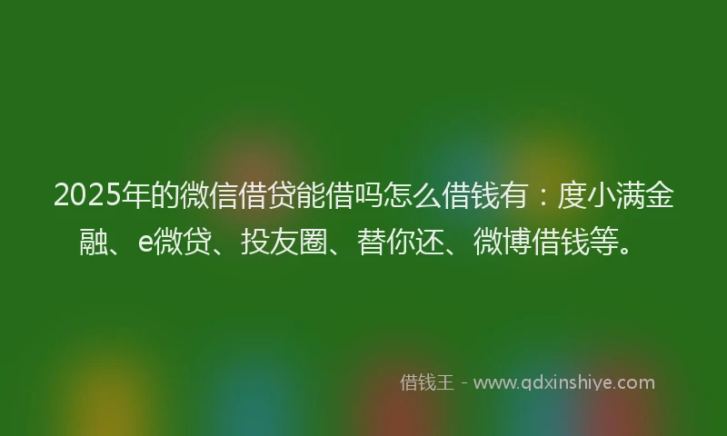 2025年的微信借贷能借吗怎么借钱有：度小满金融、e微贷、投友圈、替你还、微博借钱等。