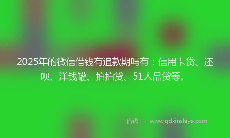 2025年的微信借钱有追款期吗有：信用卡贷、还呗、洋钱罐、拍拍贷、51人品贷等。