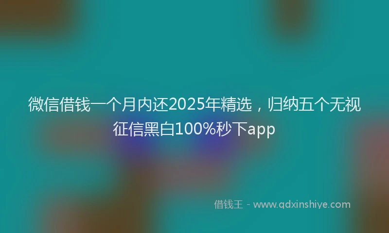 微信借钱一个月内还2025年精选，归纳五个无视征信黑白100%秒下app
