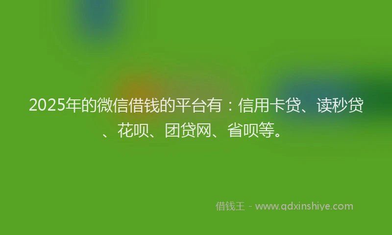 2025年的微信借钱的平台有：信用卡贷、读秒贷、花呗、团贷网、省呗等。