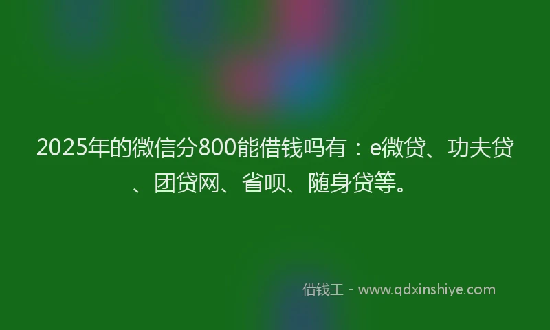 2025年的微信分800能借钱吗有：e微贷、功夫贷、团贷网、省呗、随身贷等。