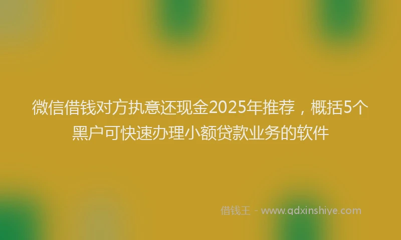 微信借钱对方执意还现金2025年推荐，概括5个黑户可快速办理小额贷款业务的软件