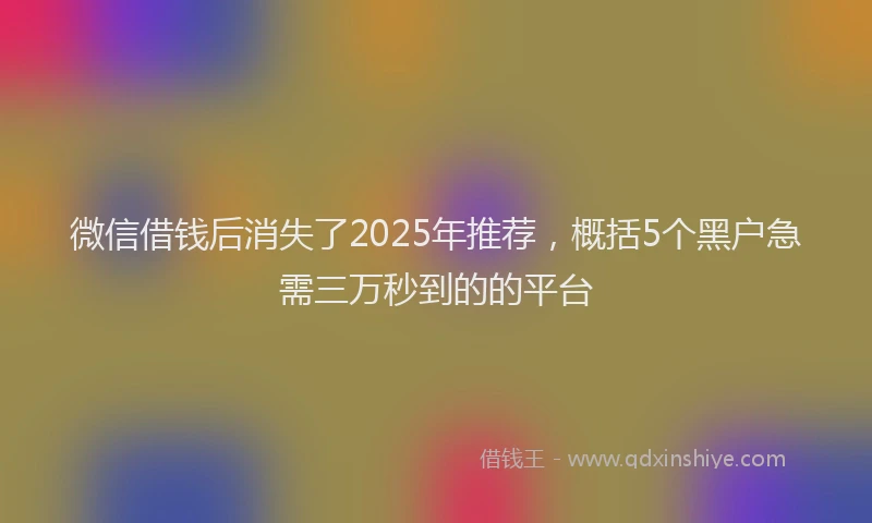 微信借钱后消失了2025年推荐，概括5个黑户急需三万秒到的的平台