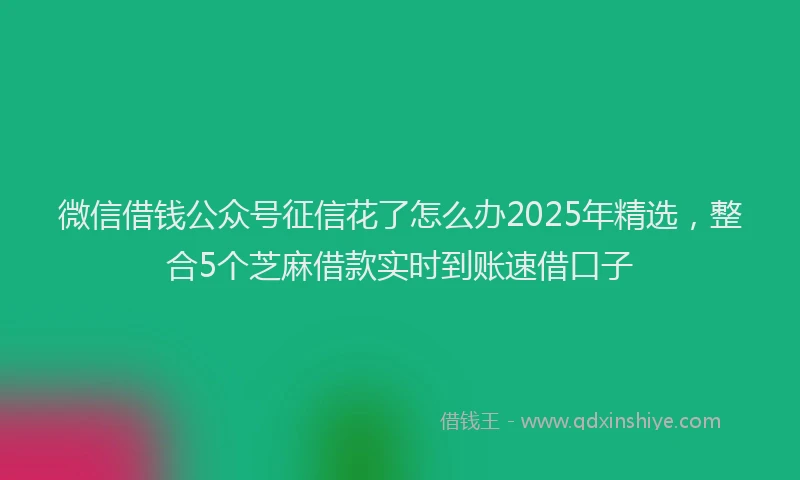 微信借钱公众号征信花了怎么办2025年精选，整合5个芝麻借款实时到账速借口子