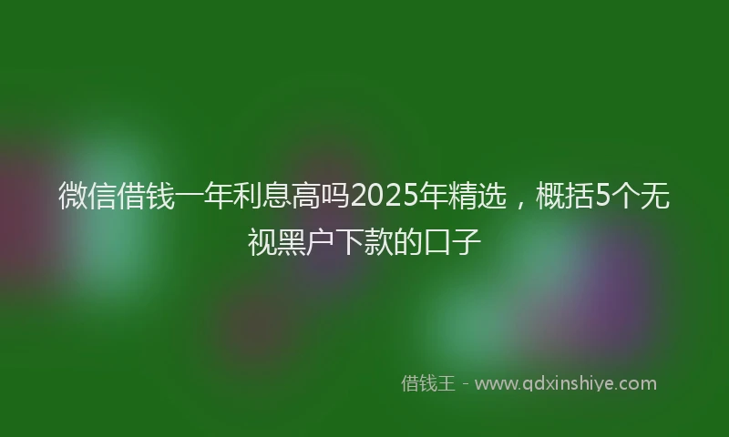 微信借钱一年利息高吗2025年精选，概括5个无视黑户下款的口子