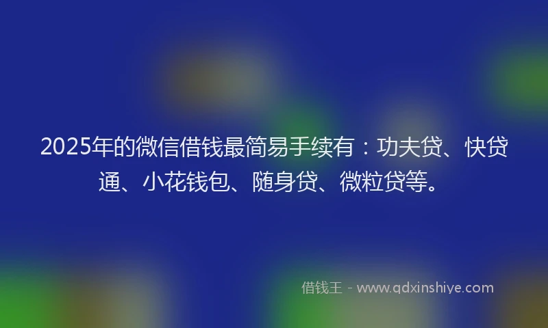 2025年的微信借钱最简易手续有：功夫贷、快贷通、小花钱包、随身贷、微粒贷等。