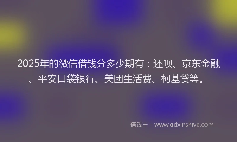 2025年的微信借钱分多少期有：还呗、京东金融、平安口袋银行、美团生活费、柯基贷等。