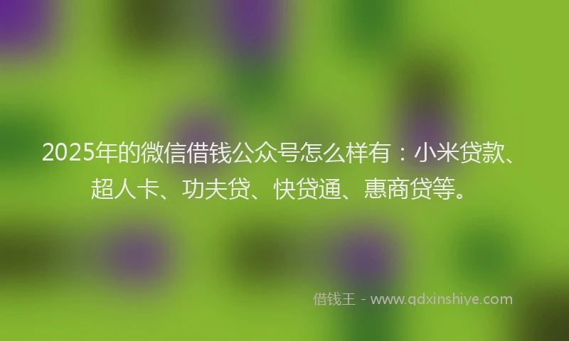 2025年的微信借钱公众号怎么样有：小米贷款、超人卡、功夫贷、快贷通、惠商贷等。