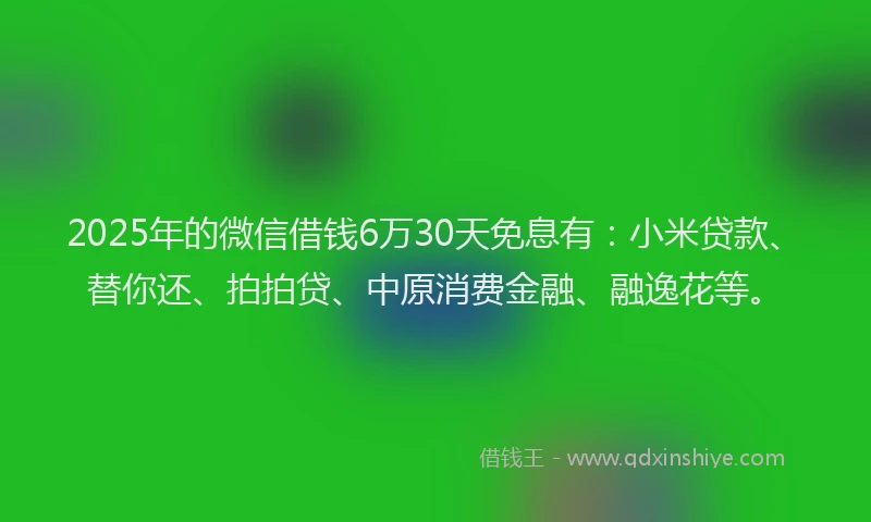 2025年的微信借钱6万30天免息有：小米贷款、替你还、拍拍贷、中原消费金融、融逸花等。