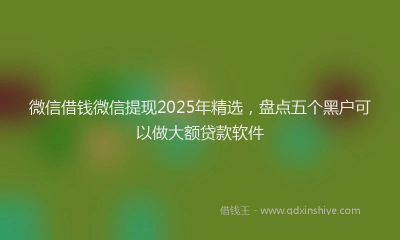 微信借钱微信提现2025年精选，盘点五个黑户可以做大额贷款软件