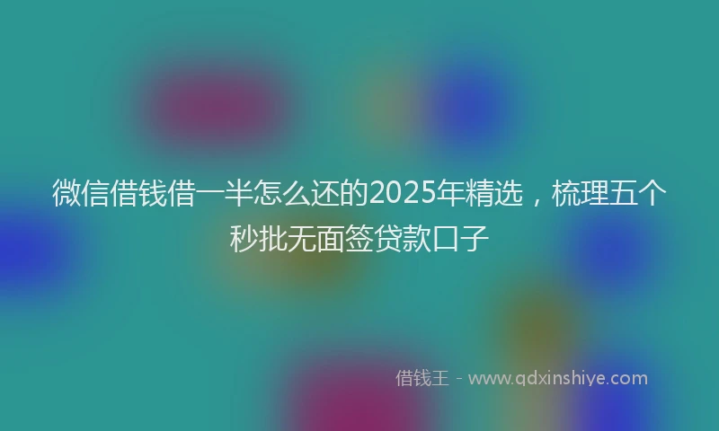 微信借钱借一半怎么还的2025年精选，梳理五个秒批无面签贷款口子