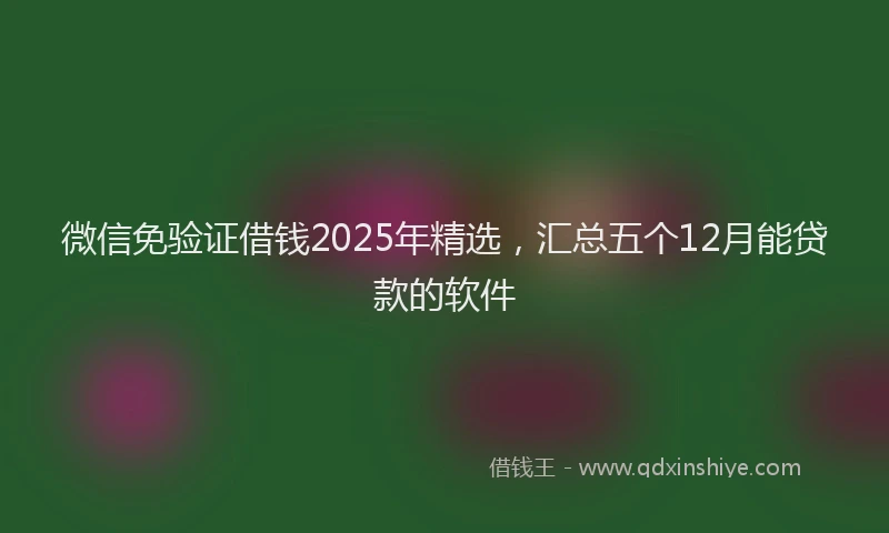 微信免验证借钱2025年精选，汇总五个12月能贷款的软件