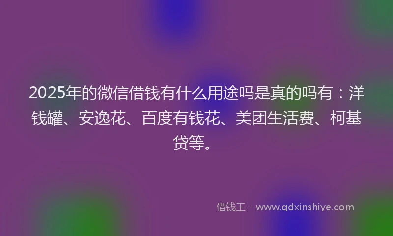 2025年的微信借钱有什么用途吗是真的吗有：洋钱罐、安逸花、百度有钱花、美团生活费、柯基贷等。