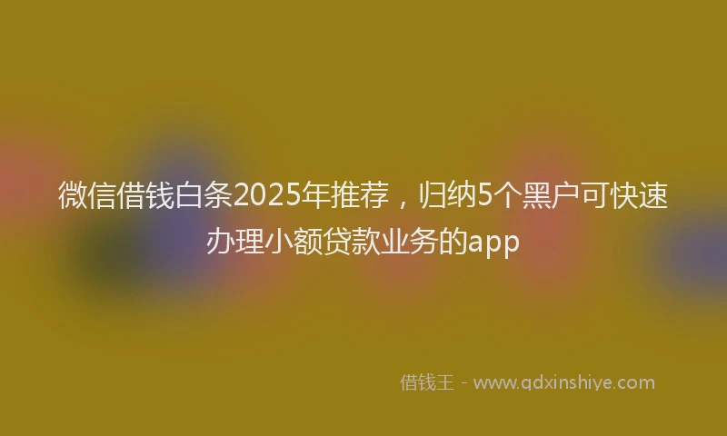 微信借钱白条2025年推荐，归纳5个黑户可快速办理小额贷款业务的app
