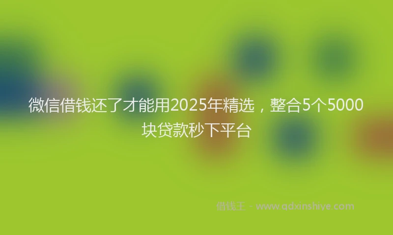 微信借钱还了才能用2025年精选，整合5个5000块贷款秒下平台