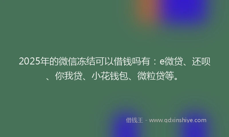 2025年的微信冻结可以借钱吗有：e微贷、还呗、你我贷、小花钱包、微粒贷等。