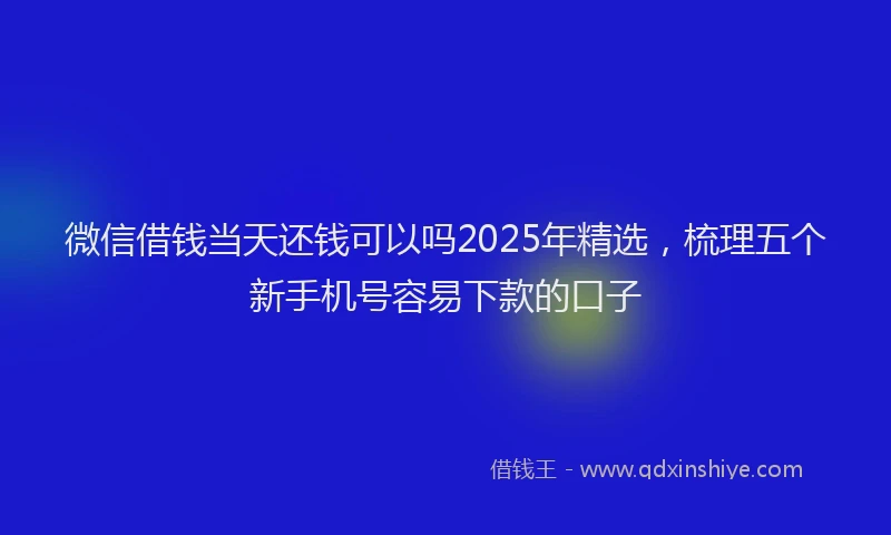 微信借钱当天还钱可以吗2025年精选，梳理五个新手机号容易下款的口子
