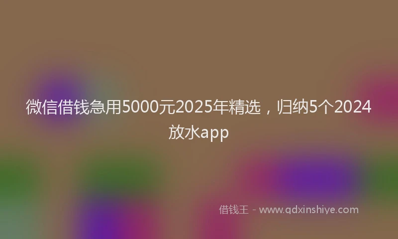微信借钱急用5000元2025年精选，归纳5个2024放水app
