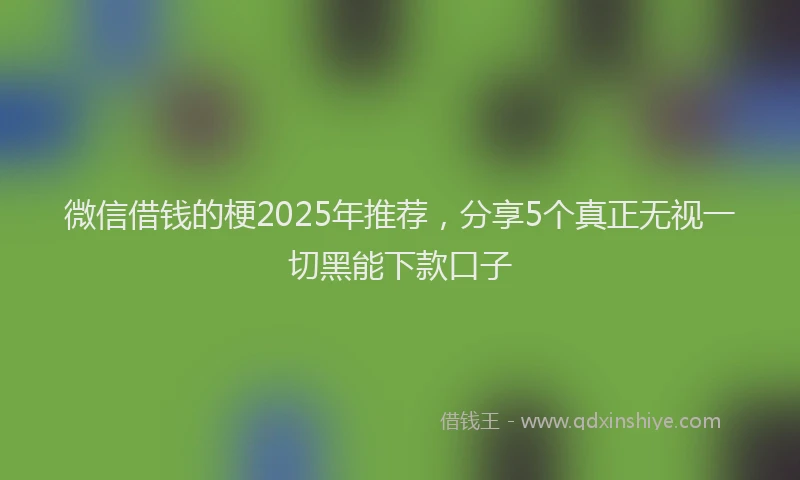 微信借钱的梗2025年推荐，分享5个真正无视一切黑能下款口子