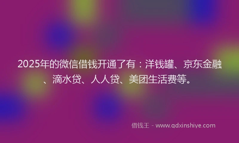 2025年的微信借钱开通了有：洋钱罐、京东金融、滴水贷、人人贷、美团生活费等。