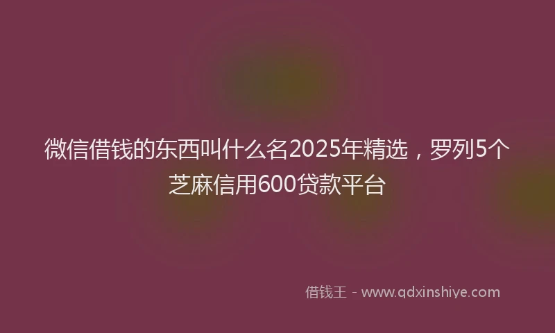 微信借钱的东西叫什么名2025年精选，罗列5个芝麻信用600贷款平台