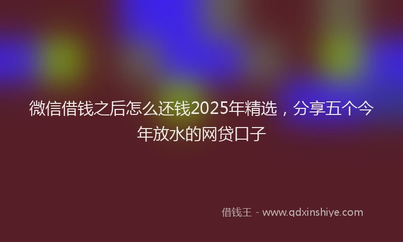 微信借钱之后怎么还钱2025年精选，分享五个今年放水的网贷口子