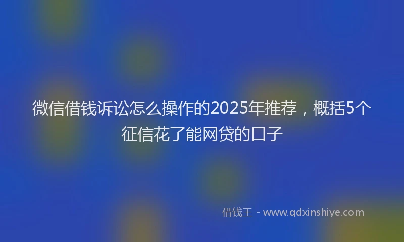 微信借钱诉讼怎么操作的2025年推荐，概括5个征信花了能网贷的口子