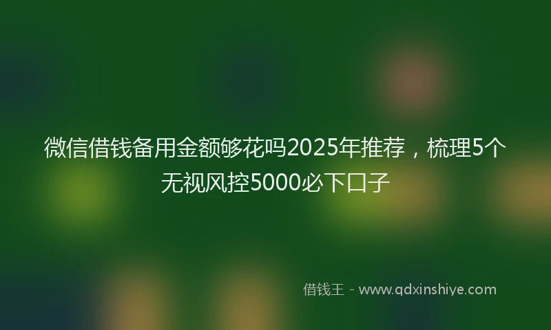 微信借钱备用金额够花吗2025年推荐，梳理5个无视风控5000必下口子