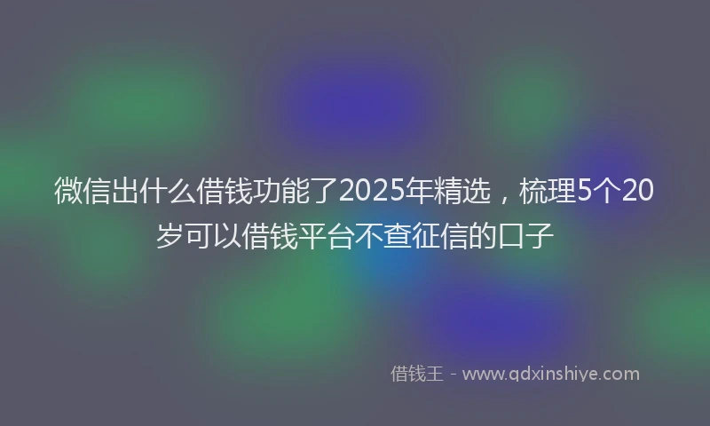 微信出什么借钱功能了2025年精选，梳理5个20岁可以借钱平台不查征信的口子