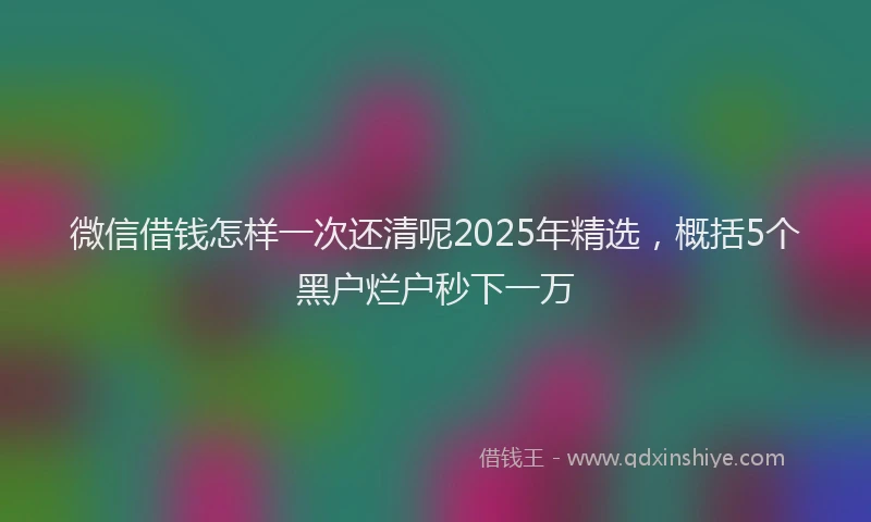 微信借钱怎样一次还清呢2025年精选，概括5个黑户烂户秒下一万