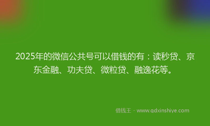 2025年的微信公共号可以借钱的有：读秒贷、京东金融、功夫贷、微粒贷、融逸花等。