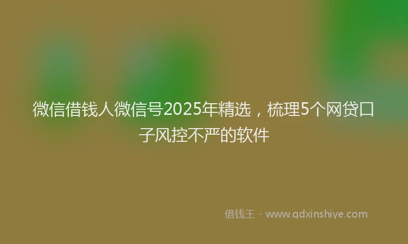 微信借钱人微信号2025年精选，梳理5个网贷口子风控不严的软件