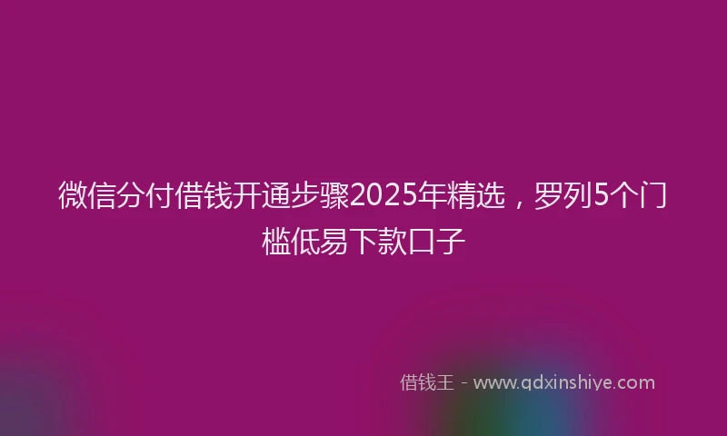 微信分付借钱开通步骤2025年精选，罗列5个门槛低易下款口子