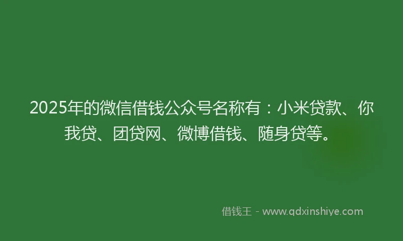 2025年的微信借钱公众号名称有：小米贷款、你我贷、团贷网、微博借钱、随身贷等。