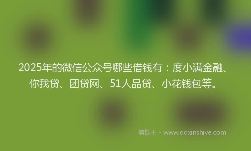 2025年的微信公众号哪些借钱有：度小满金融、你我贷、团贷网、51人品贷、小花钱包等。