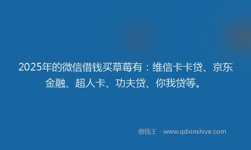 2025年的微信借钱买草莓有：维信卡卡贷、京东金融、超人卡、功夫贷、你我贷等。