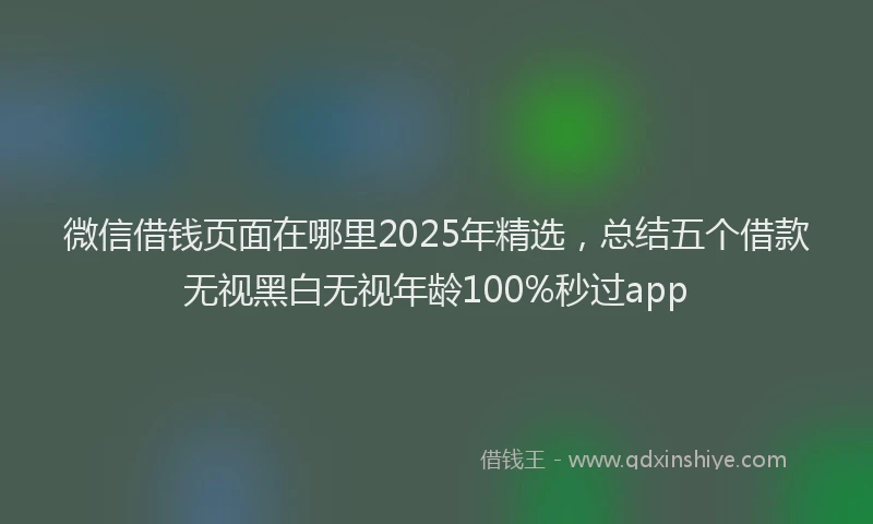微信借钱页面在哪里2025年精选，总结五个借款无视黑白无视年龄100%秒过app
