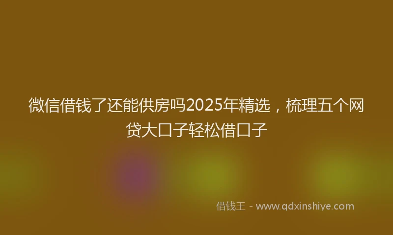 微信借钱了还能供房吗2025年精选，梳理五个网贷大口子轻松借口子