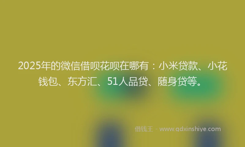 2025年的微信借呗花呗在哪有：小米贷款、小花钱包、东方汇、51人品贷、随身贷等。