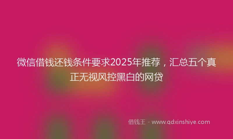 微信借钱还钱条件要求2025年推荐，汇总五个真正无视风控黑白的网贷