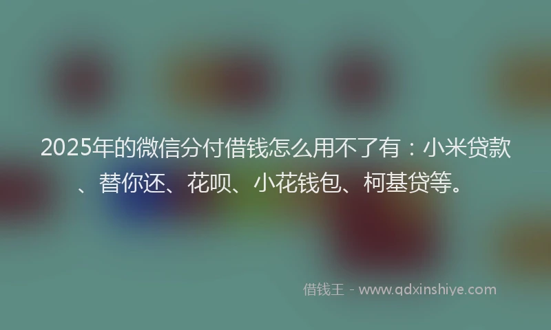2025年的微信分付借钱怎么用不了有:小米贷款、替你还、花呗、小花钱包、柯基贷等。