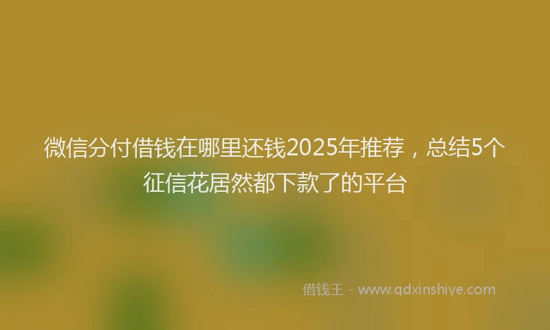微信分付借钱在哪里还钱2025年推荐，总结5个征信花居然都下款了的平台