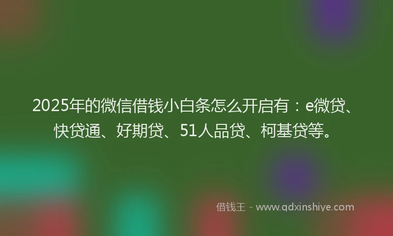 2025年的微信借钱小白条怎么开启有：e微贷、快贷通、好期贷、51人品贷、柯基贷等。