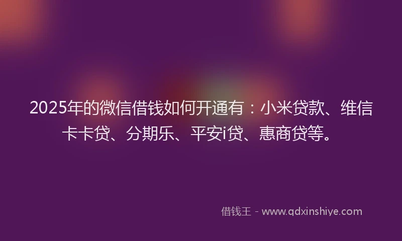 2025年的微信借钱如何开通有：小米贷款、维信卡卡贷、分期乐、平安i贷、惠商贷等。
