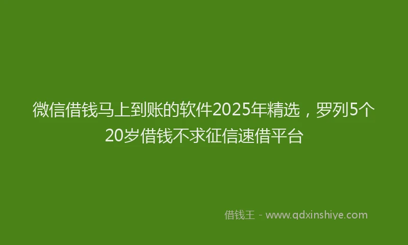 微信借钱马上到账的软件2025年精选，罗列5个20岁借钱不求征信速借平台