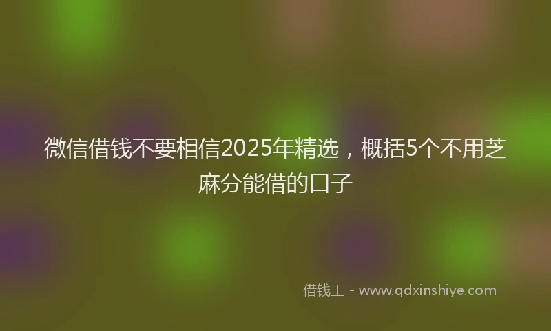 微信借钱不要相信2025年精选，概括5个不用芝麻分能借的口子